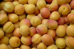 Aprikosen/